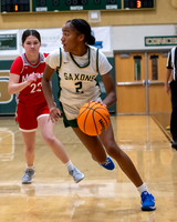 Langley Girls Basketball